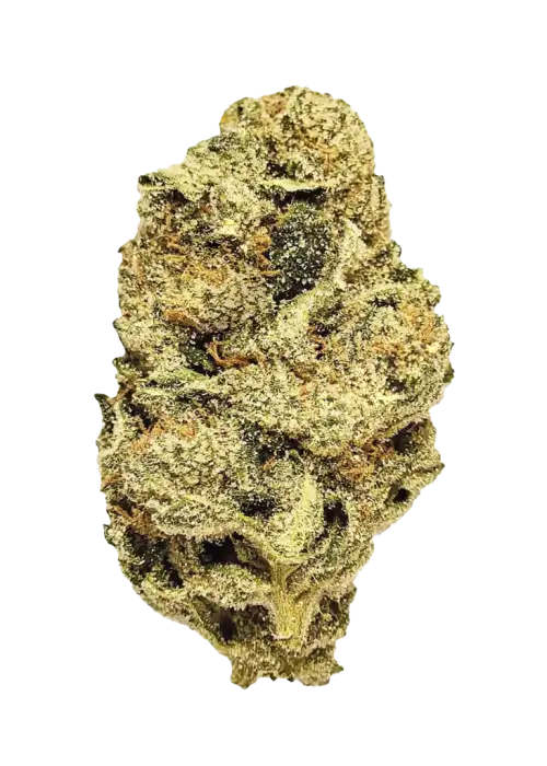 BANANA RUNTZ BANANA RUNTZ