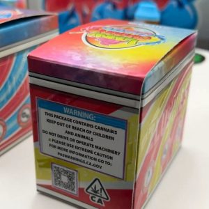 ZLUSHIES 2G DISPOSABLE