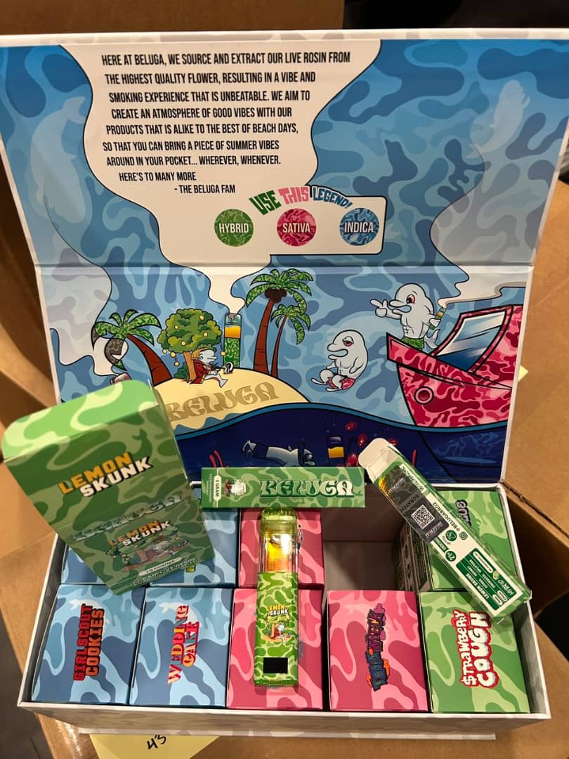 BELUGA 3G DISPOSABLE BELUGA 3G DISPOSABLE