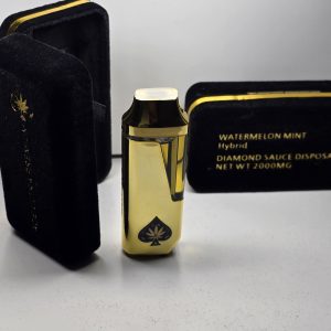 ACE ULTRA PREMIUM 2G DISPOSABLE